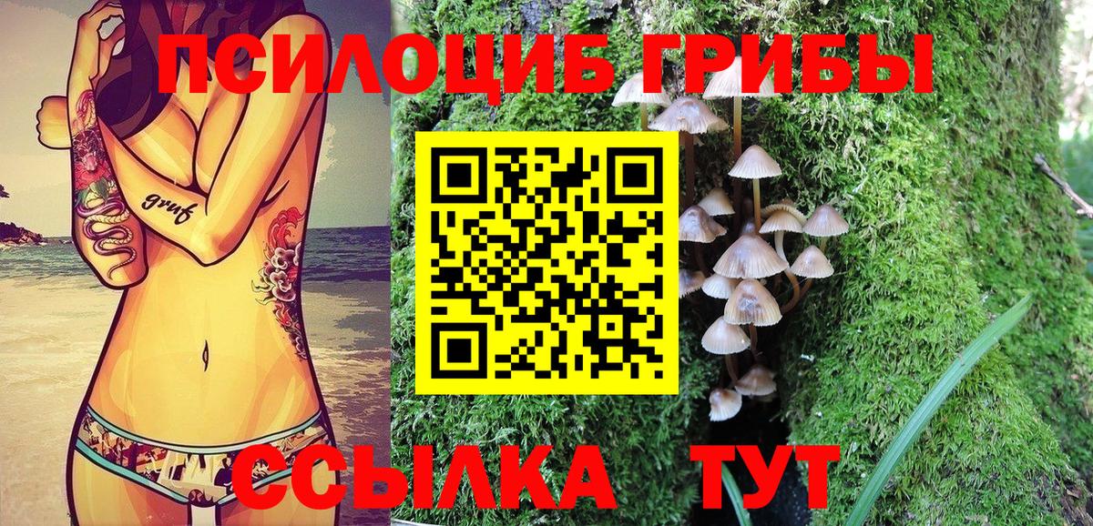 Зеленокумск  Галлюциногенные грибы MAGIC MUSHROOMS  Вход с VPN 
